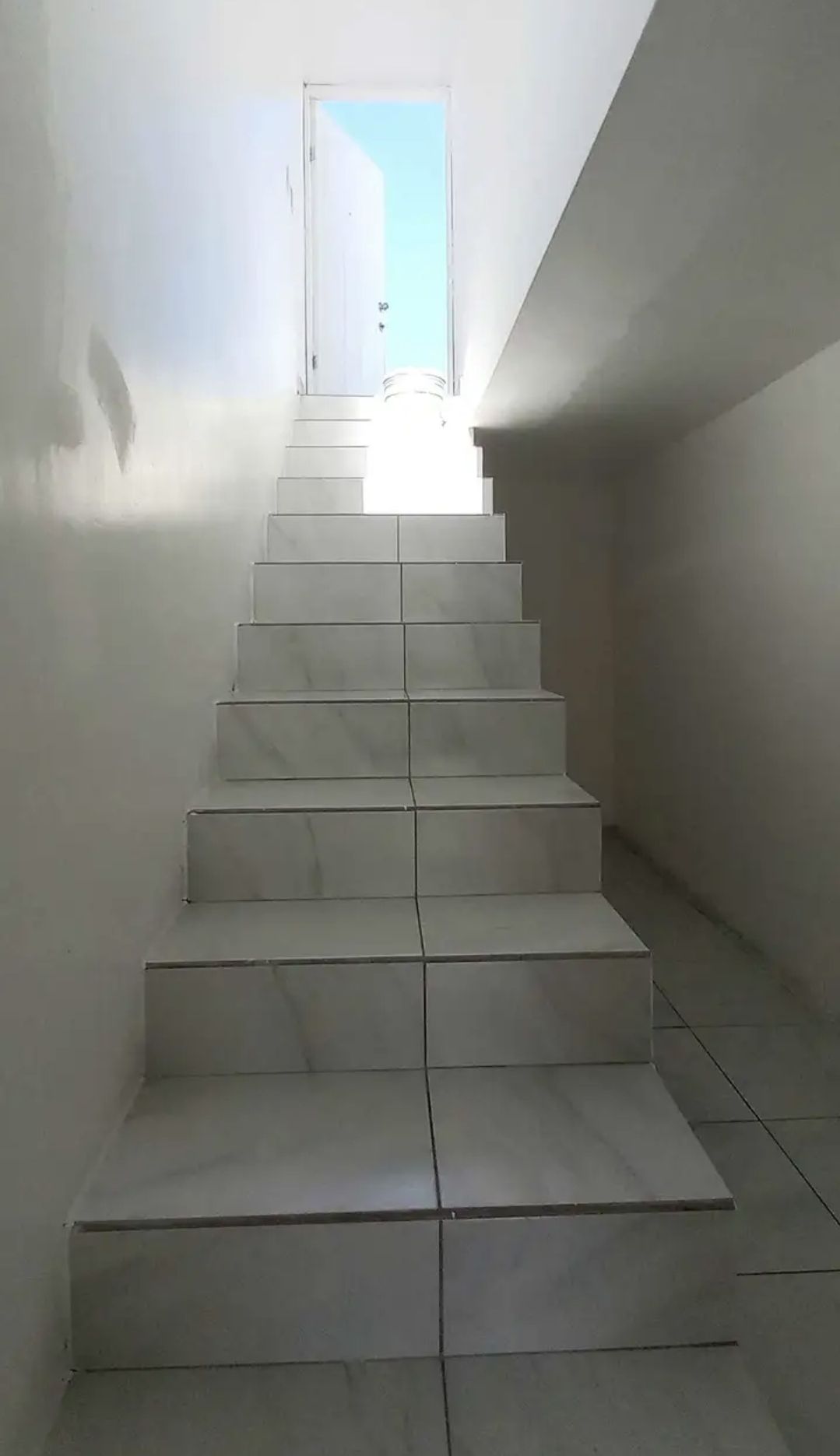 20 de 24