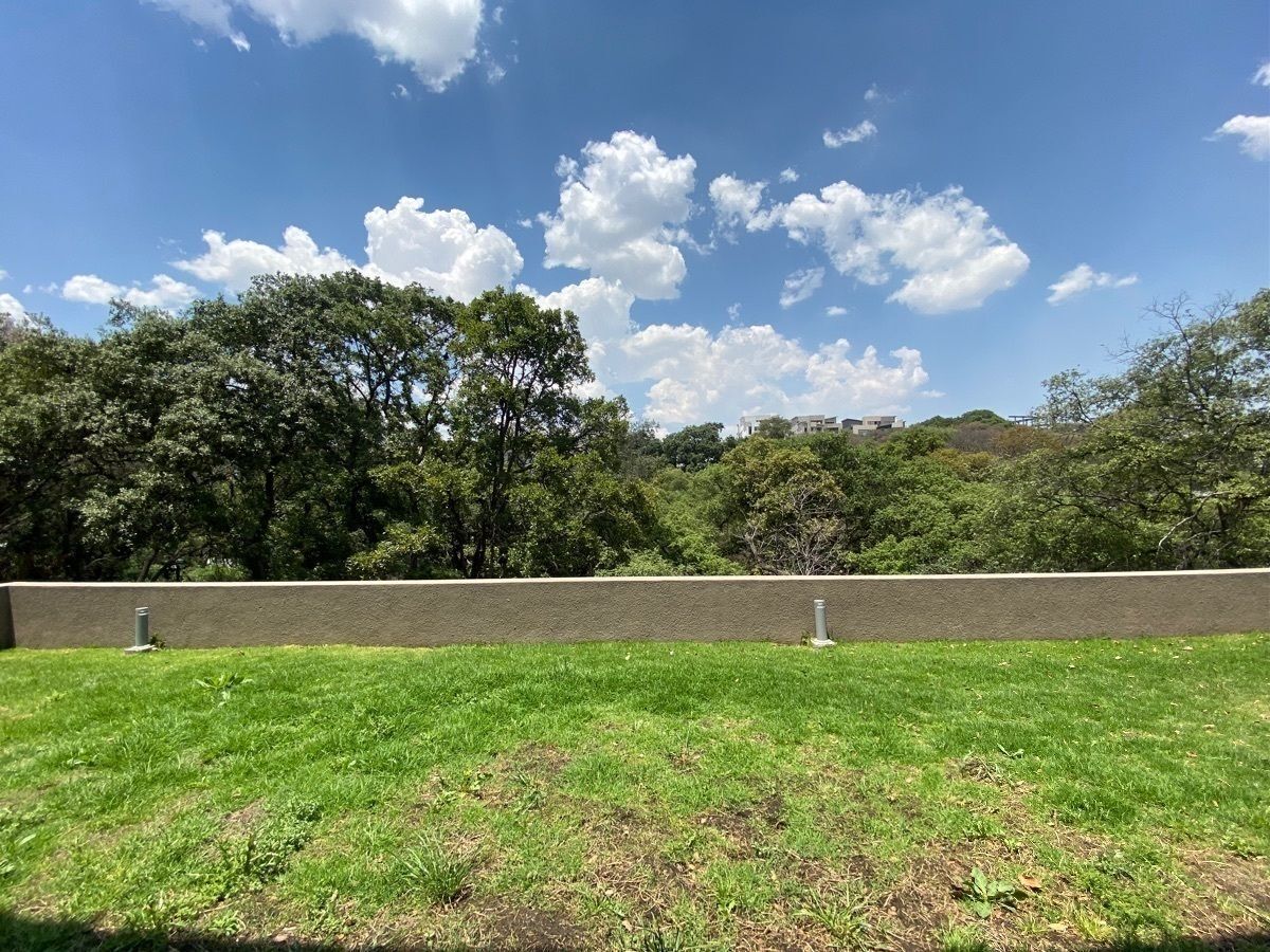 24 de 50
