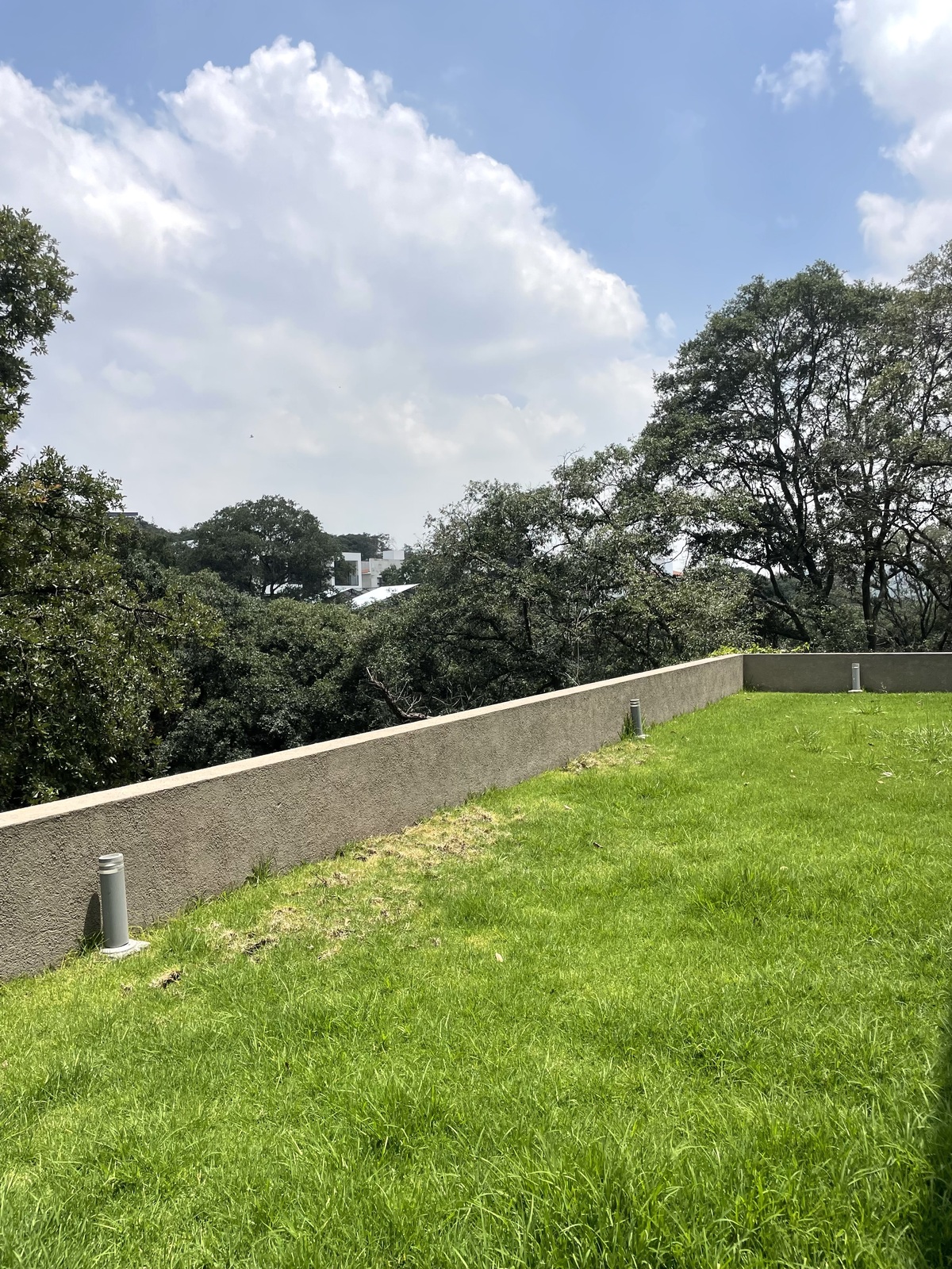 25 de 50