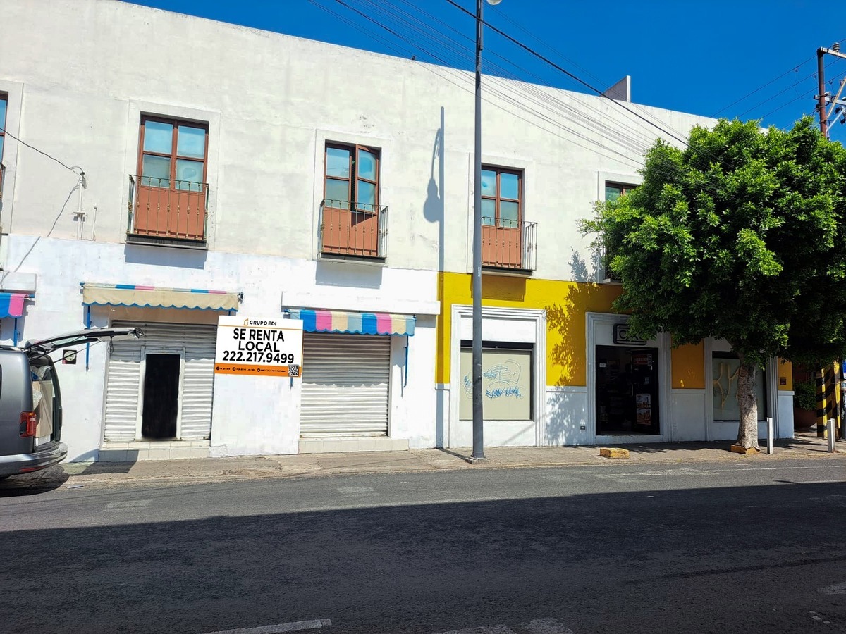 11 de 12