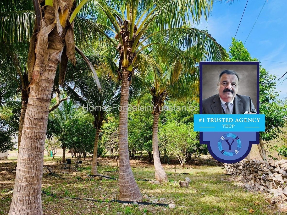 https://assets.easybroker.com/property_images/4752144/93631873/EB-RG2144.jpg?version=1753814969