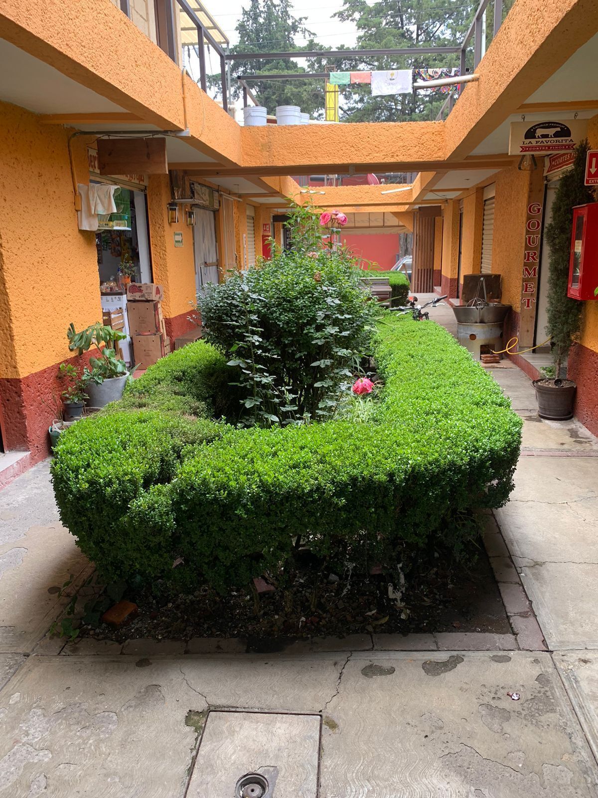 4 de 4