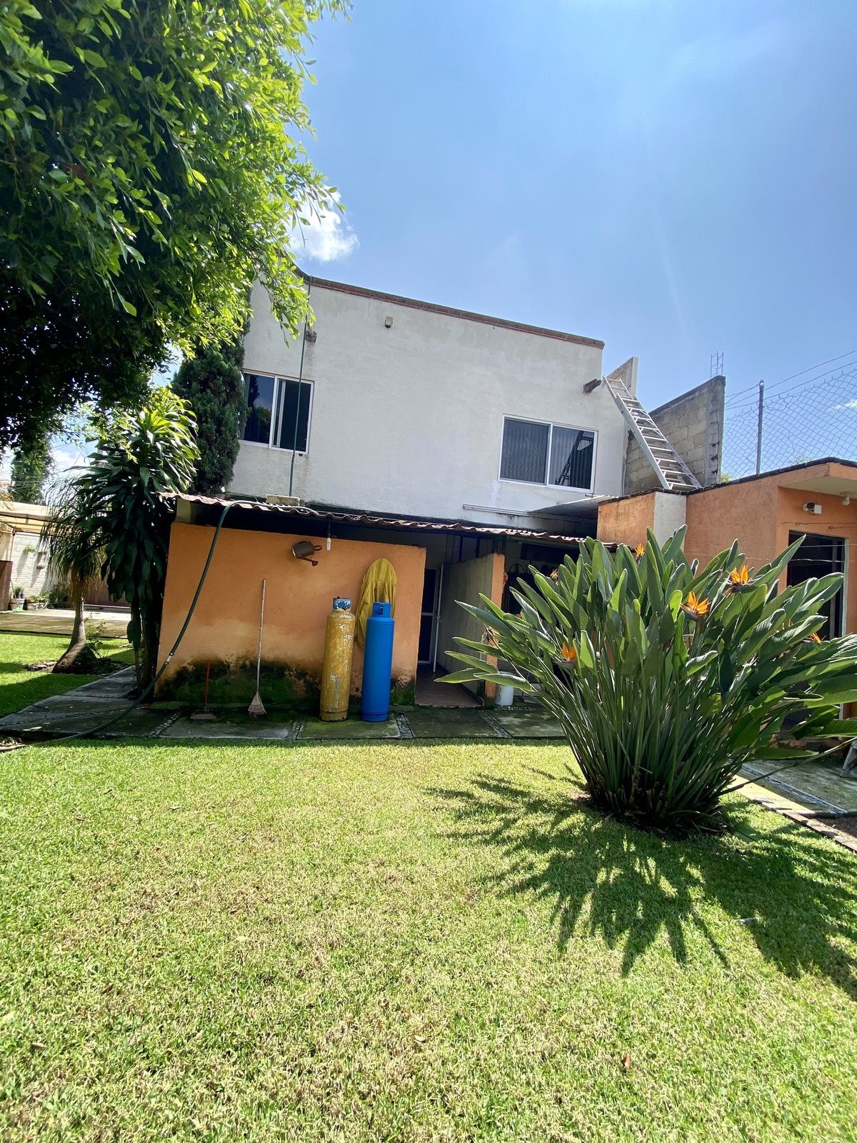 16 de 19: Cuarto de lavado y jardín