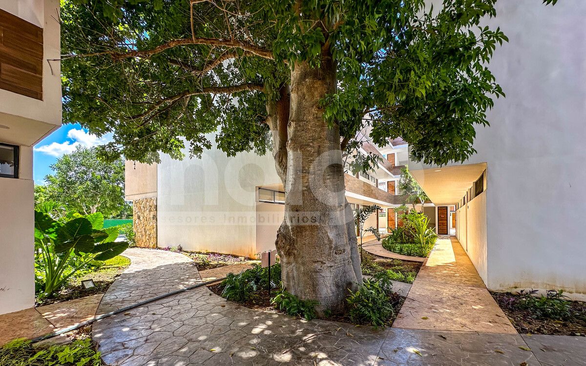 3 of 43: Pasillos Interiores