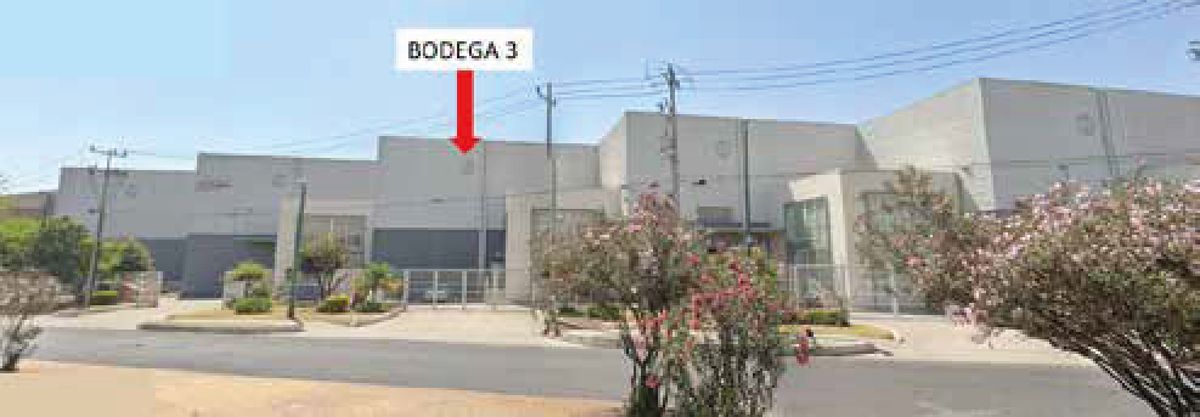 5 de 7
