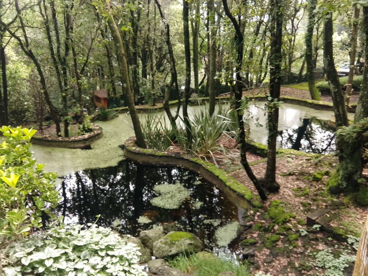 18 de 25: Casa en Venta en Tlalpuente Tips Inmobiliarios ®