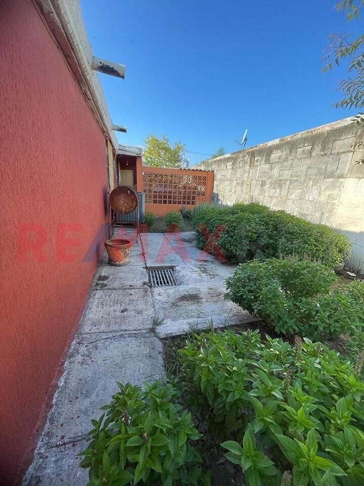 25 de 25