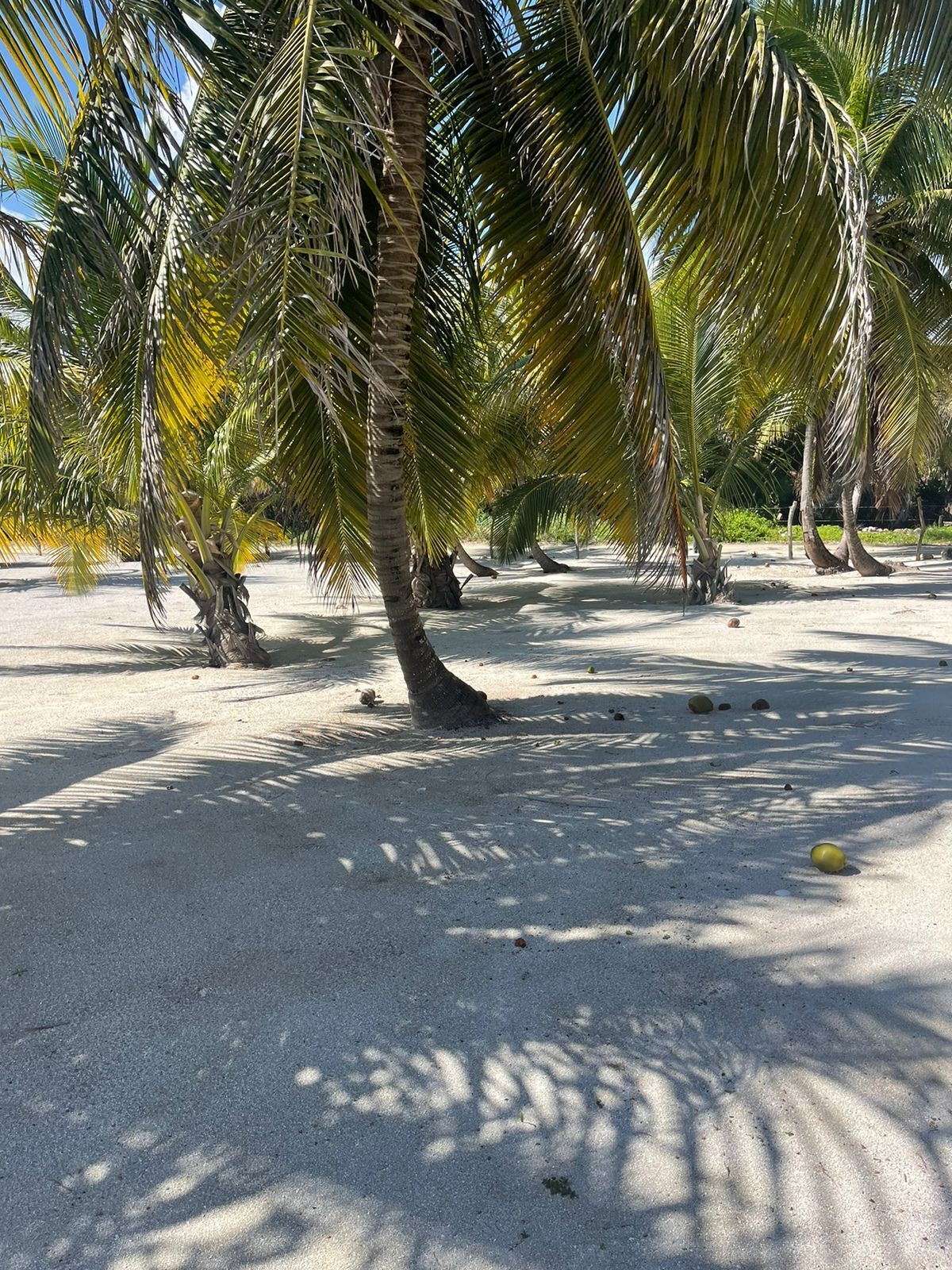 7 de 9