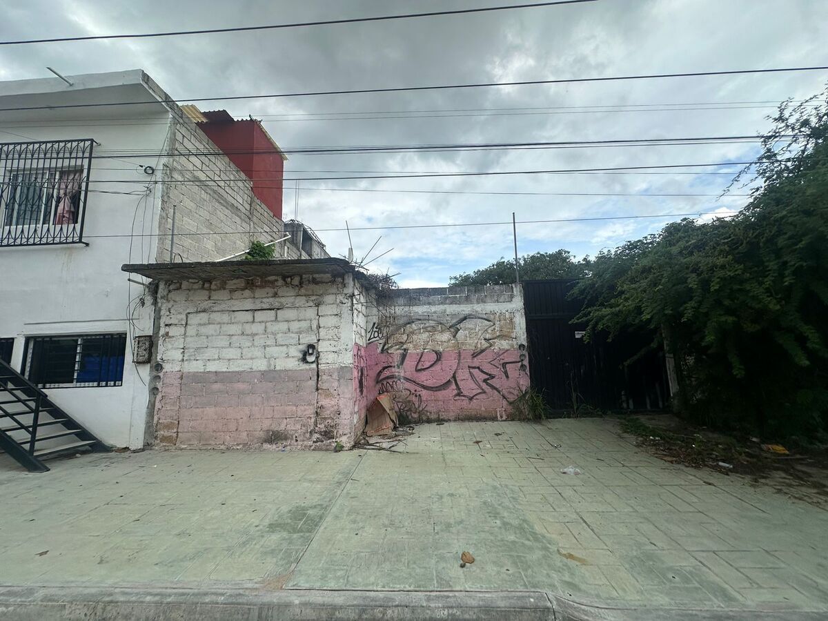 1 de 3