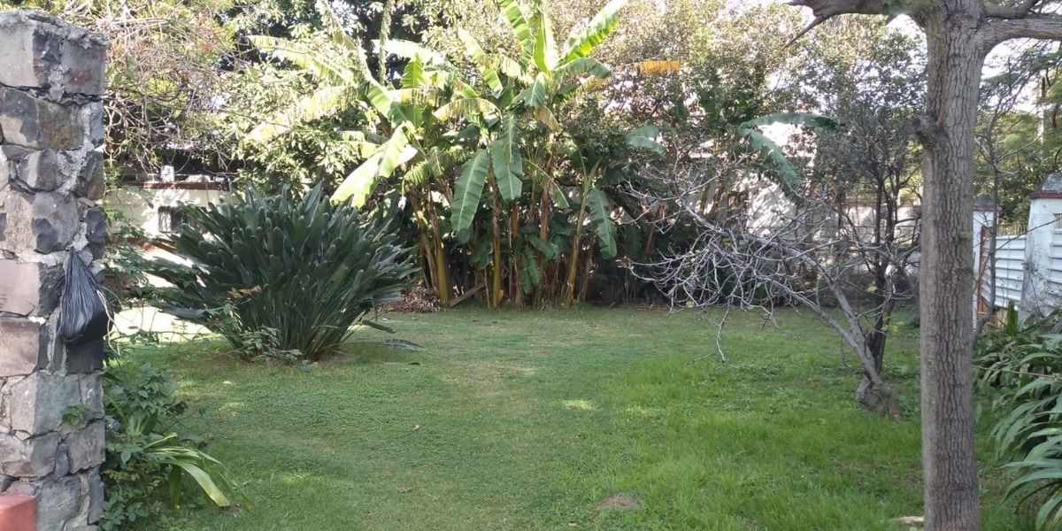 TERRENO EN VENTA EN COLONIA CHAPALITA, ZAPOPAN. - foto 4