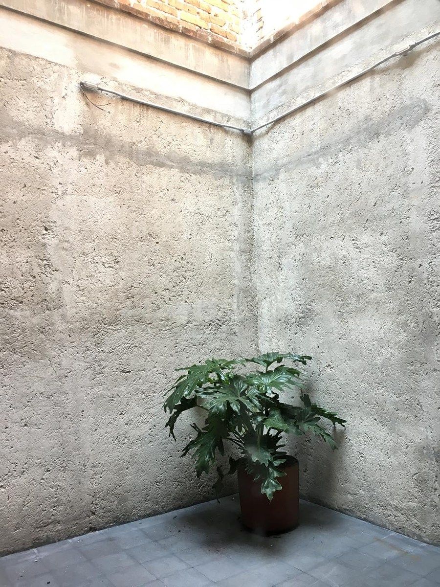 Casa com uso comercial em Roma Norte, Cuauhtémoc, foto 20 de 21