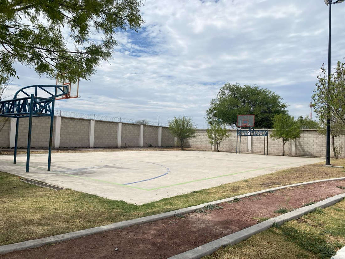 Canchas