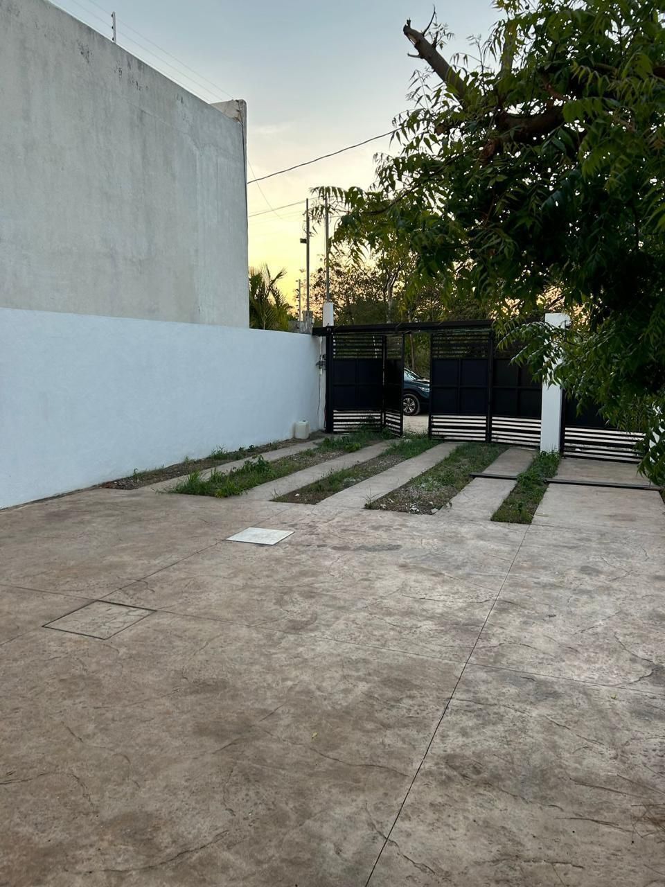 3 de 7