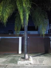 Casa en Renta Opcion para Oficinas Semi Remodelada Col Providencia, Guadalajara.