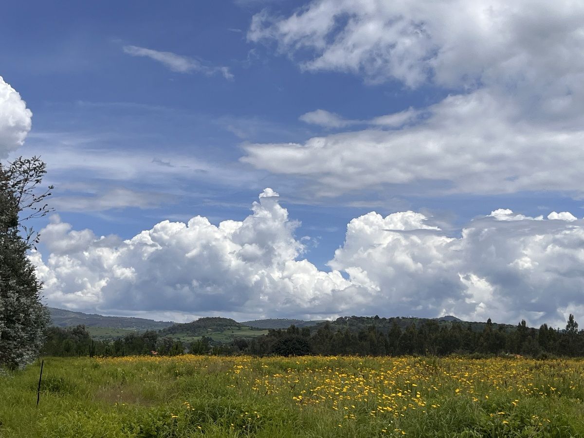 Terreno Pastores, foto 1 de 11