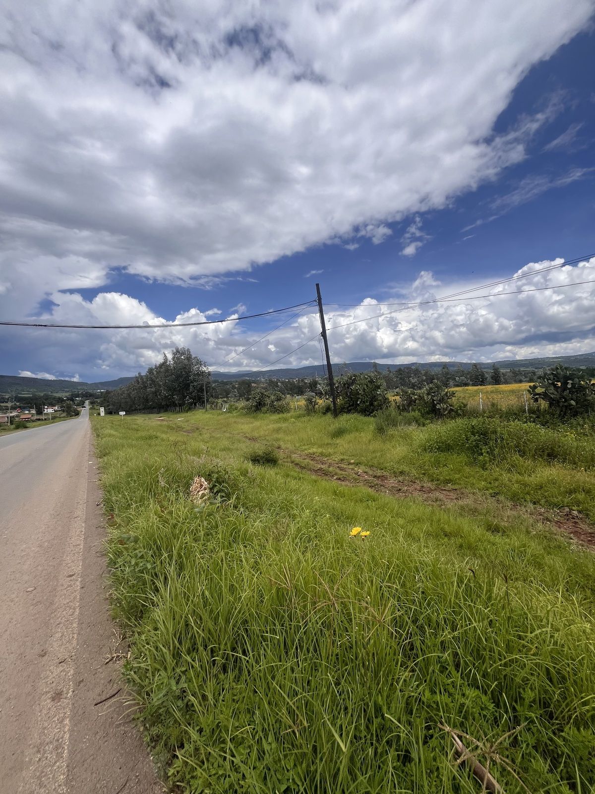 Terreno en Tapalpa, Tapalpa, foto 3 de 11