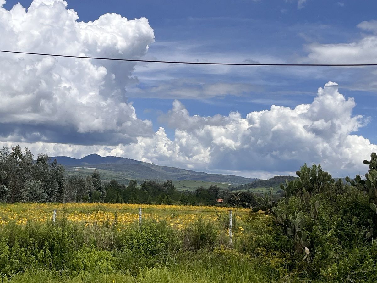 Terreno en Tapalpa, Tapalpa, foto 6 de 11