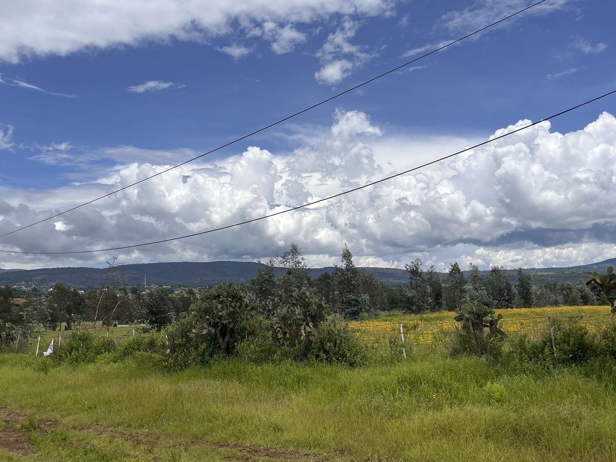 Terreno en Tapalpa, Tapalpa, foto 8 de 11
