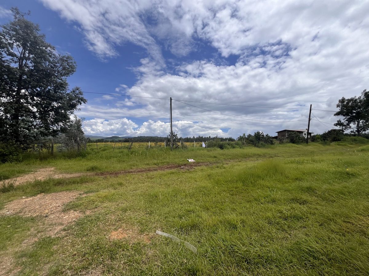 Terreno en Tapalpa, Tapalpa, foto 9 de 11