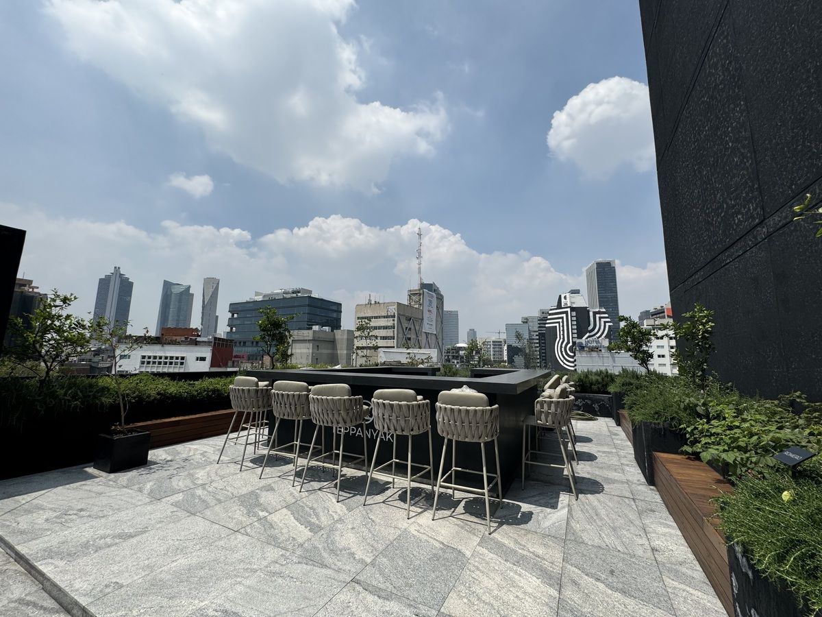 Terraza, foto 15 de 31