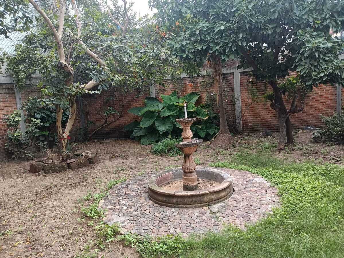 Patio jardín trasero