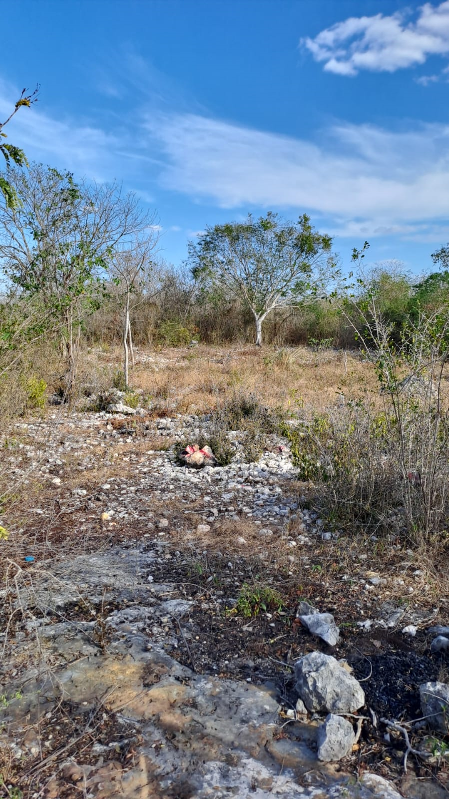Terreno en Venta ubicado en Ticimul, Umán Yucatán - foto 2