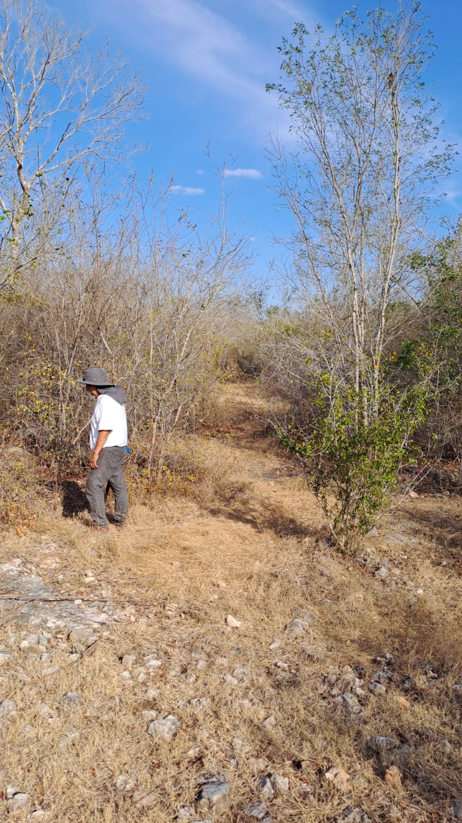 Terreno en Venta ubicado en Ticimul, Umán Yucatán - foto 5