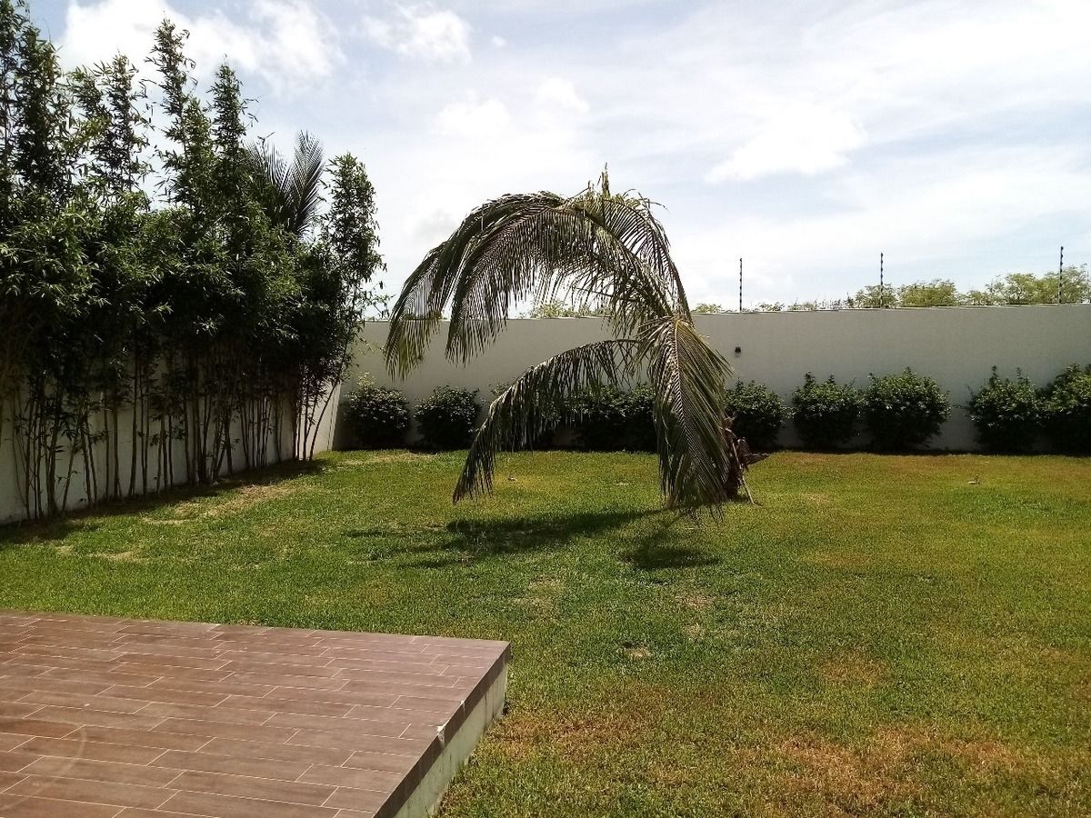 3 de 15