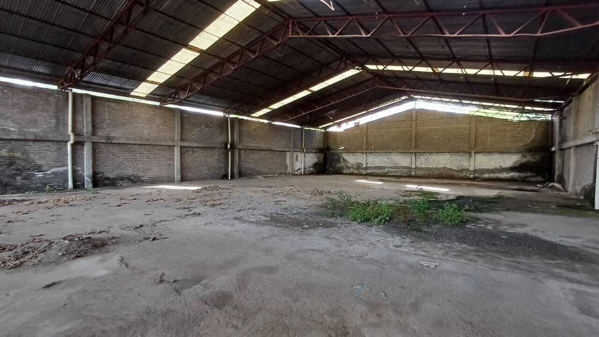 3 de 8: Parte posterior Bodega