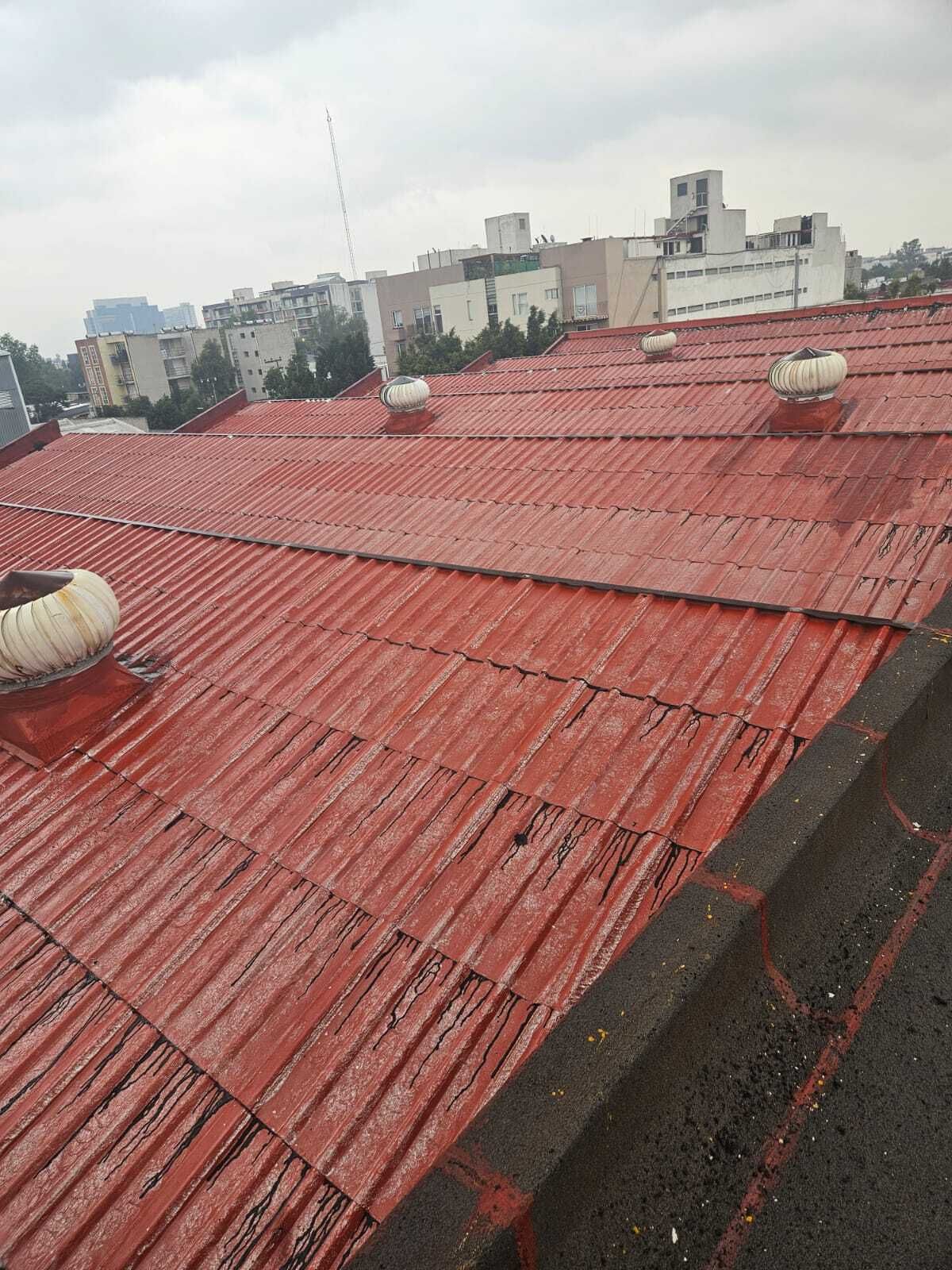 BODEGA VENTA LAGO MALAR MIGUEL HIDALGO - foto 4
