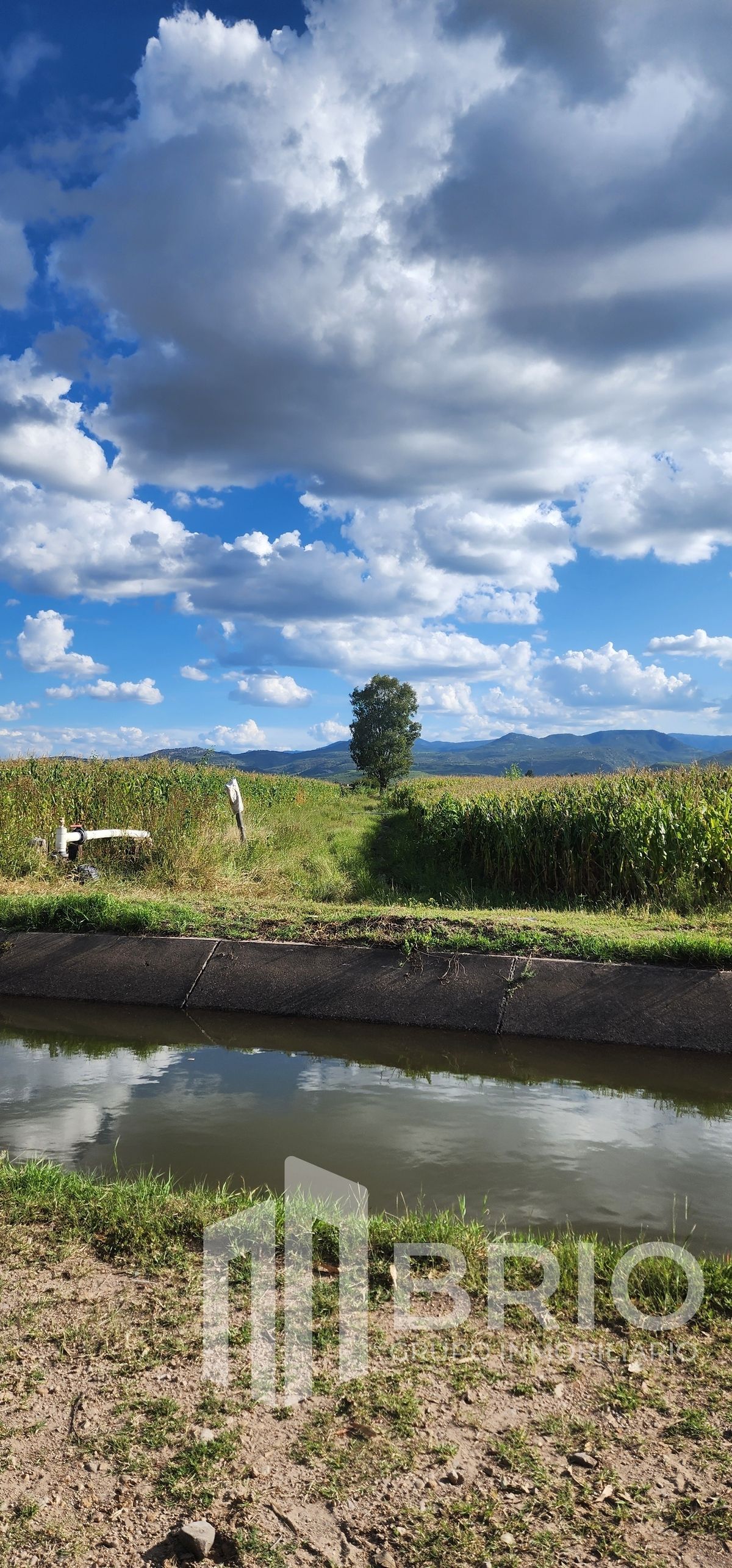 Canal de riego cercano