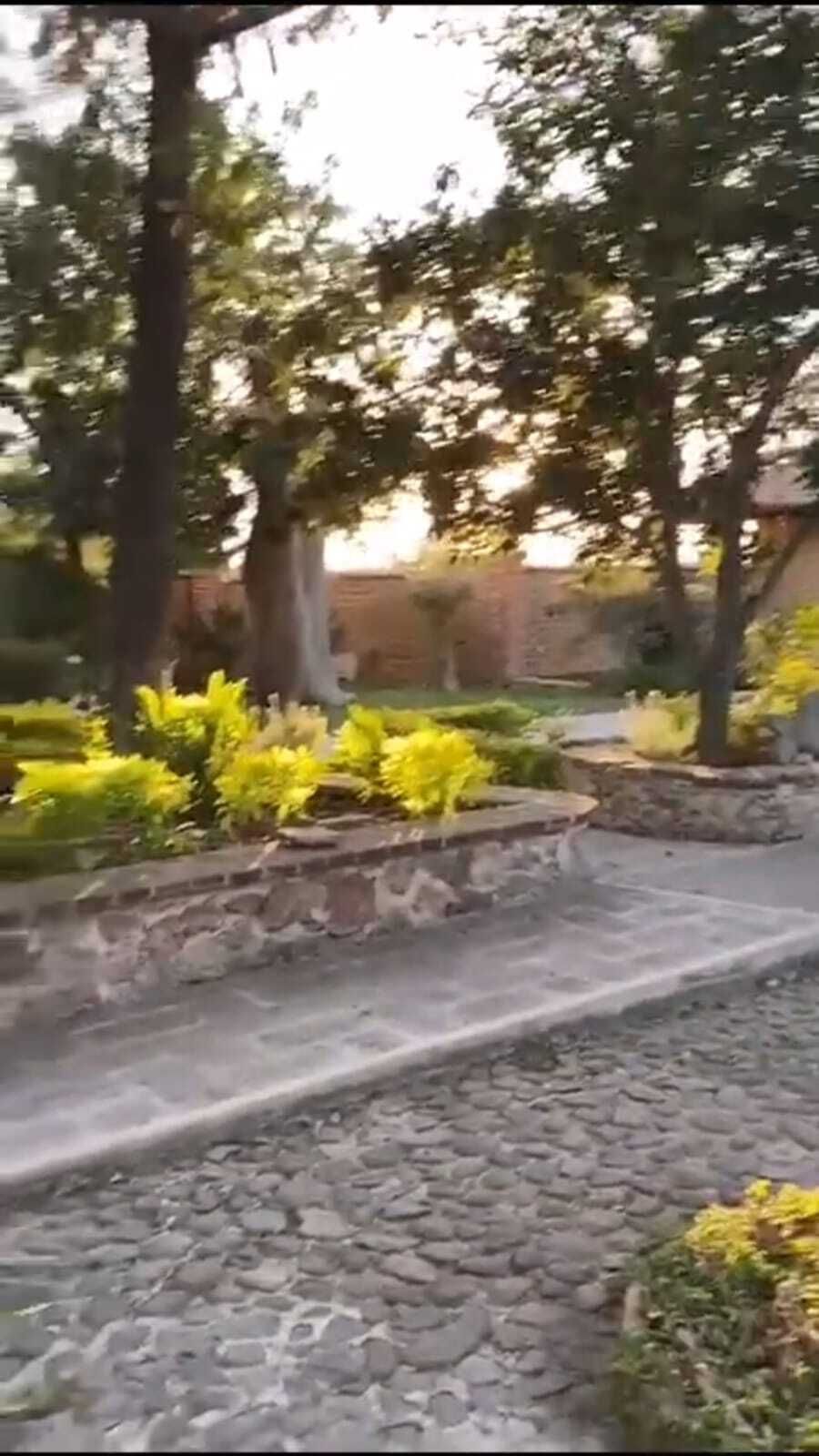 4 de 6