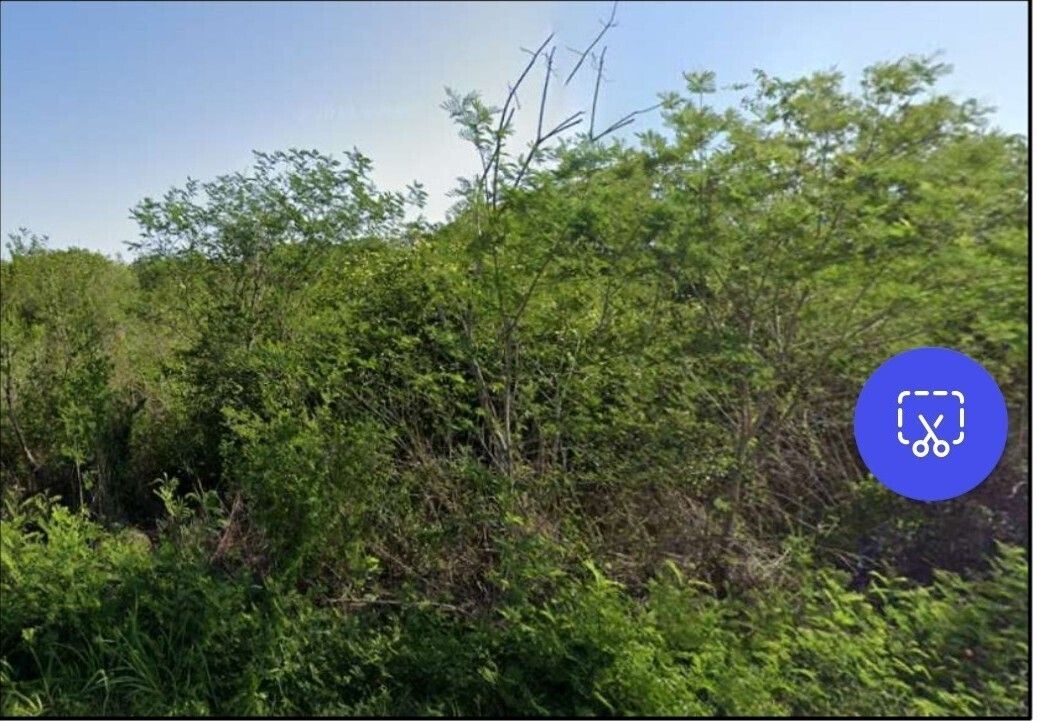INVIERTE HOY EN TU TERRENO Y ASEGURA TU FUTURO - foto 4