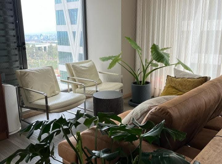 Apartment in Bosques de las Lomas, Cuajimalpa de Morelos, photo 3 of 33