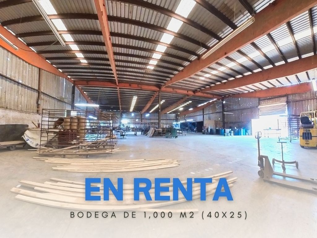 1 de 10