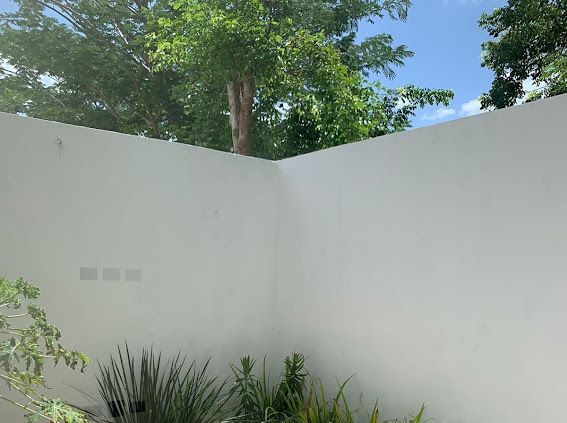2 de 11