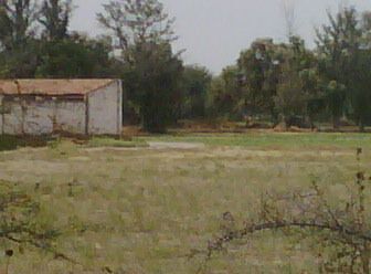 5 de 7