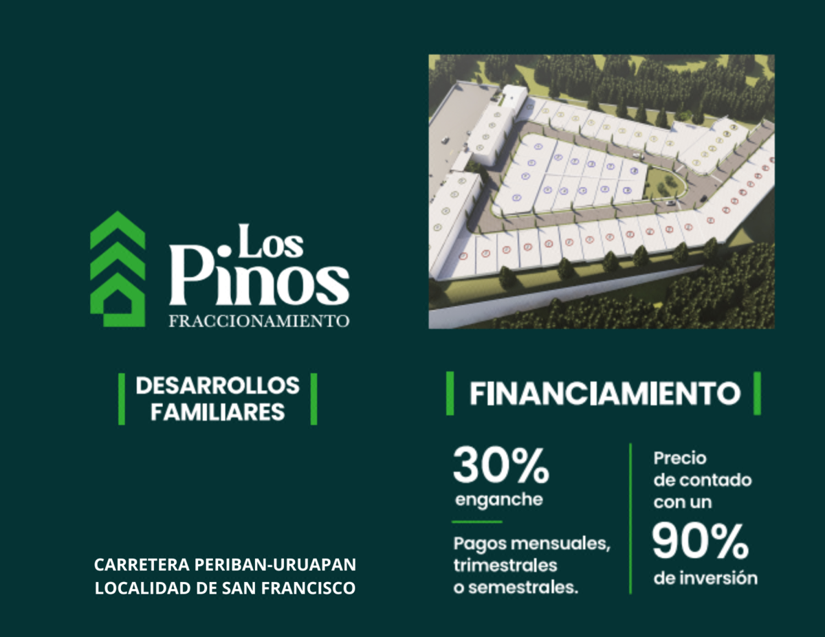 FRACCIONAMIENTO LOS PINOS - foto 1