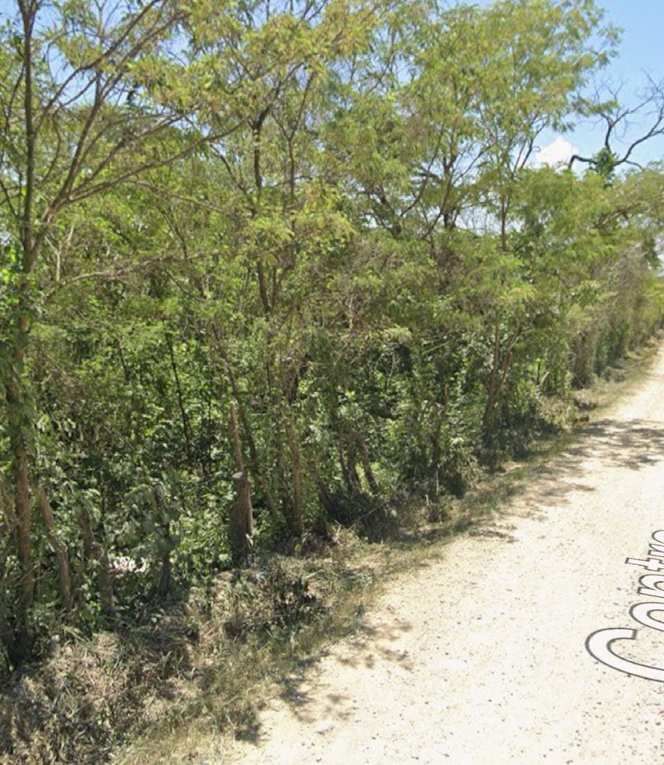 Se vende 13,998 m2 de terreno, camino al centra en Berriozábal Chiapas.