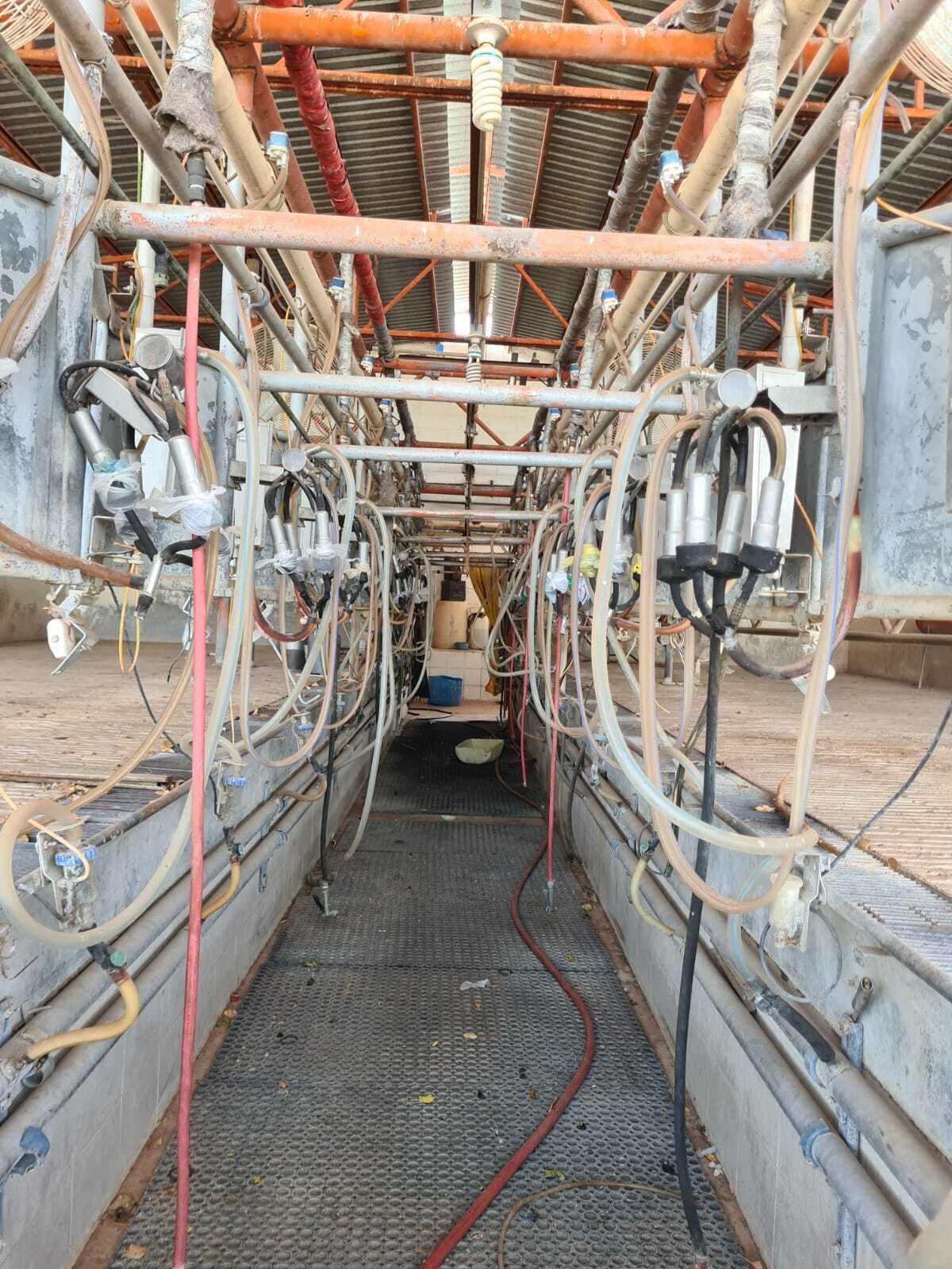 20 of 28: sala de ordeña 1