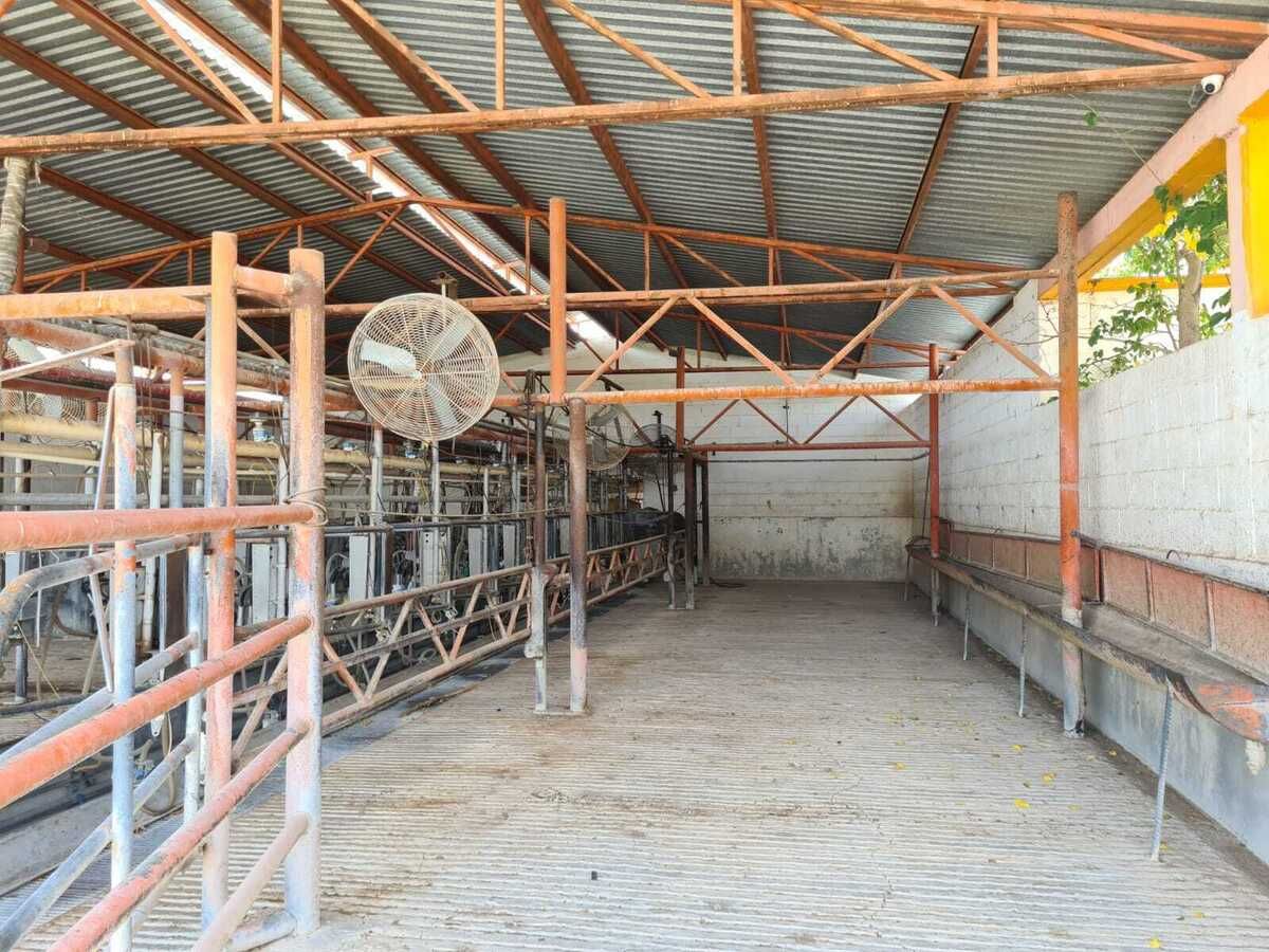 22 of 28: sala de ordeña 2