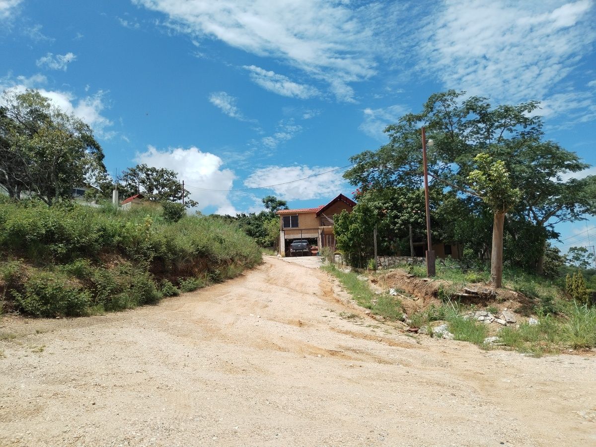 14 de 14