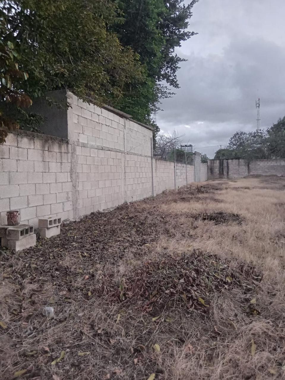 3 de 5