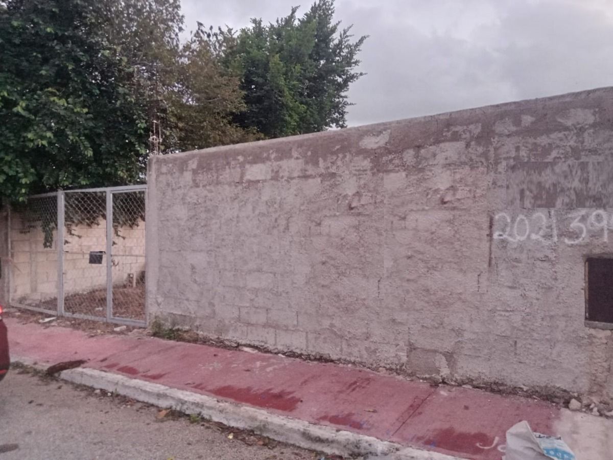 5 de 5