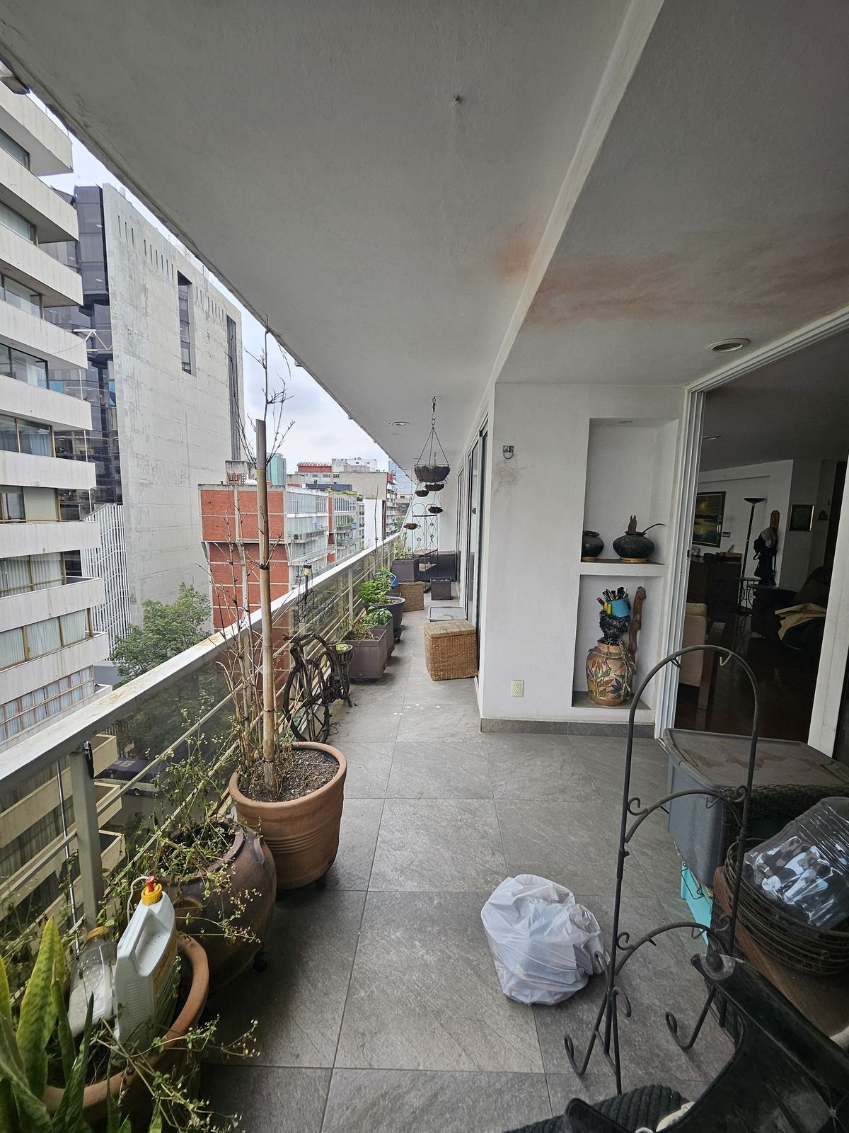 135, Avenida Homero, Polanco I Sección, 11510 135, Avenida Homero, Polanco I Sección, 11510
