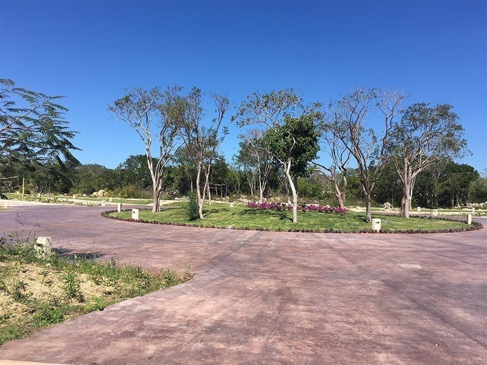 3 de 21: Vialidades Interiores