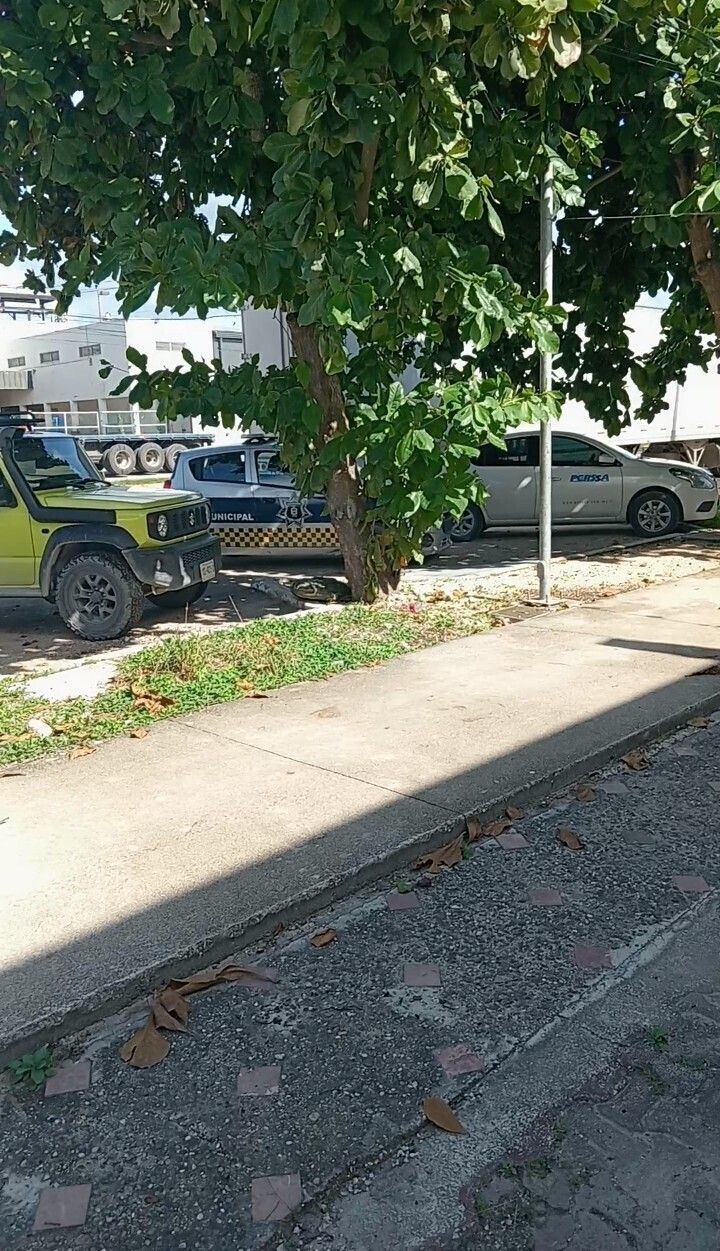 5 de 5