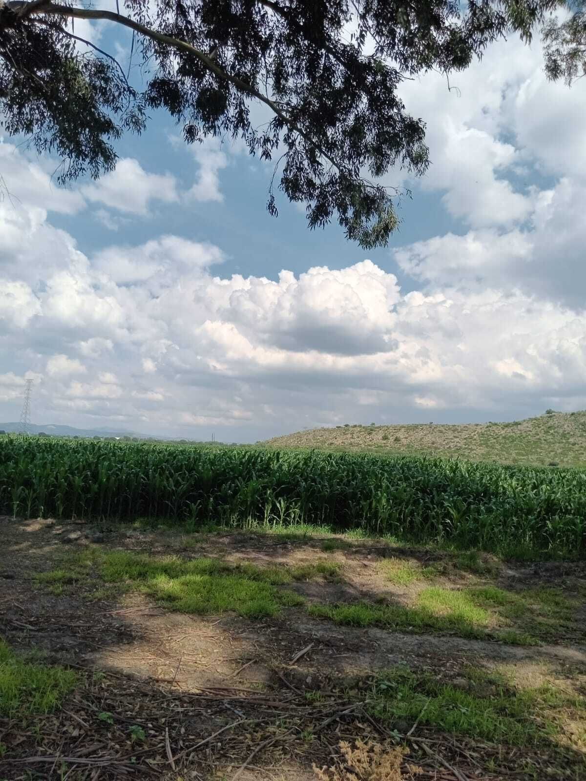 3 de 8