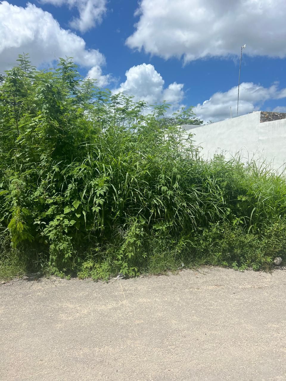 3 de 7