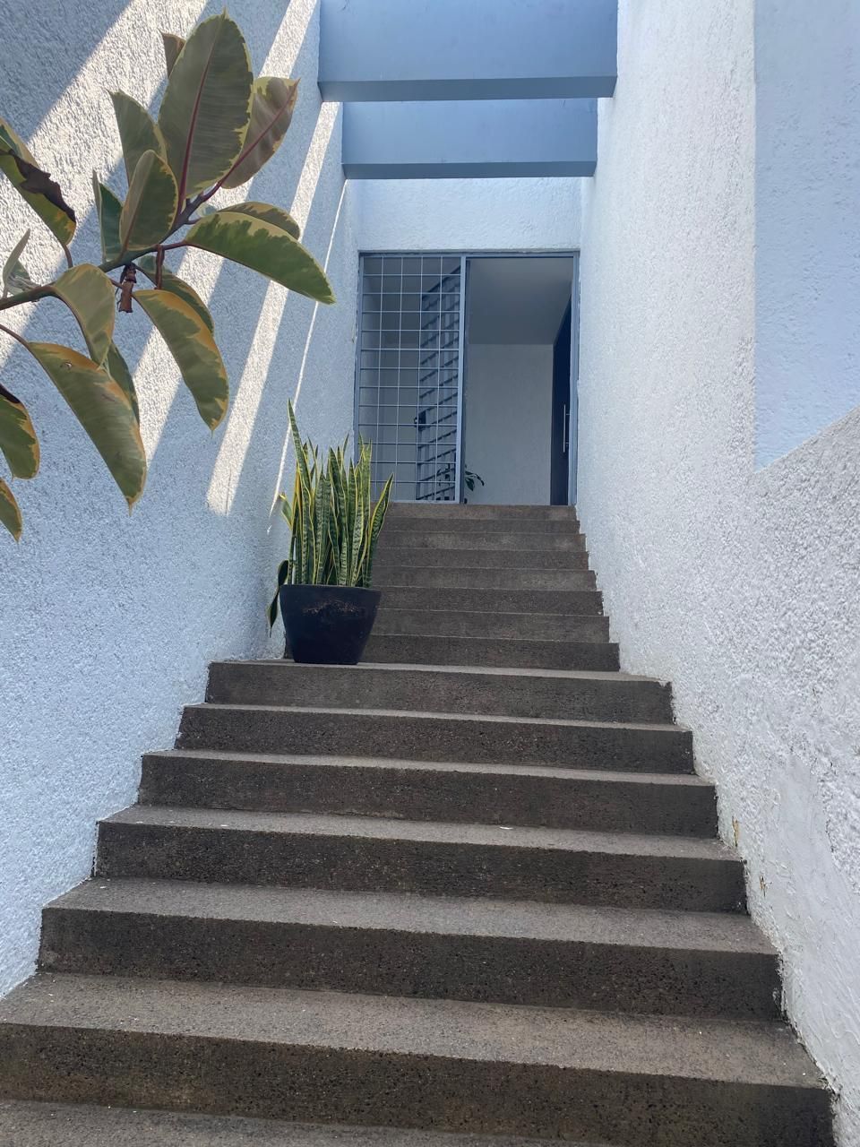 3 de 36